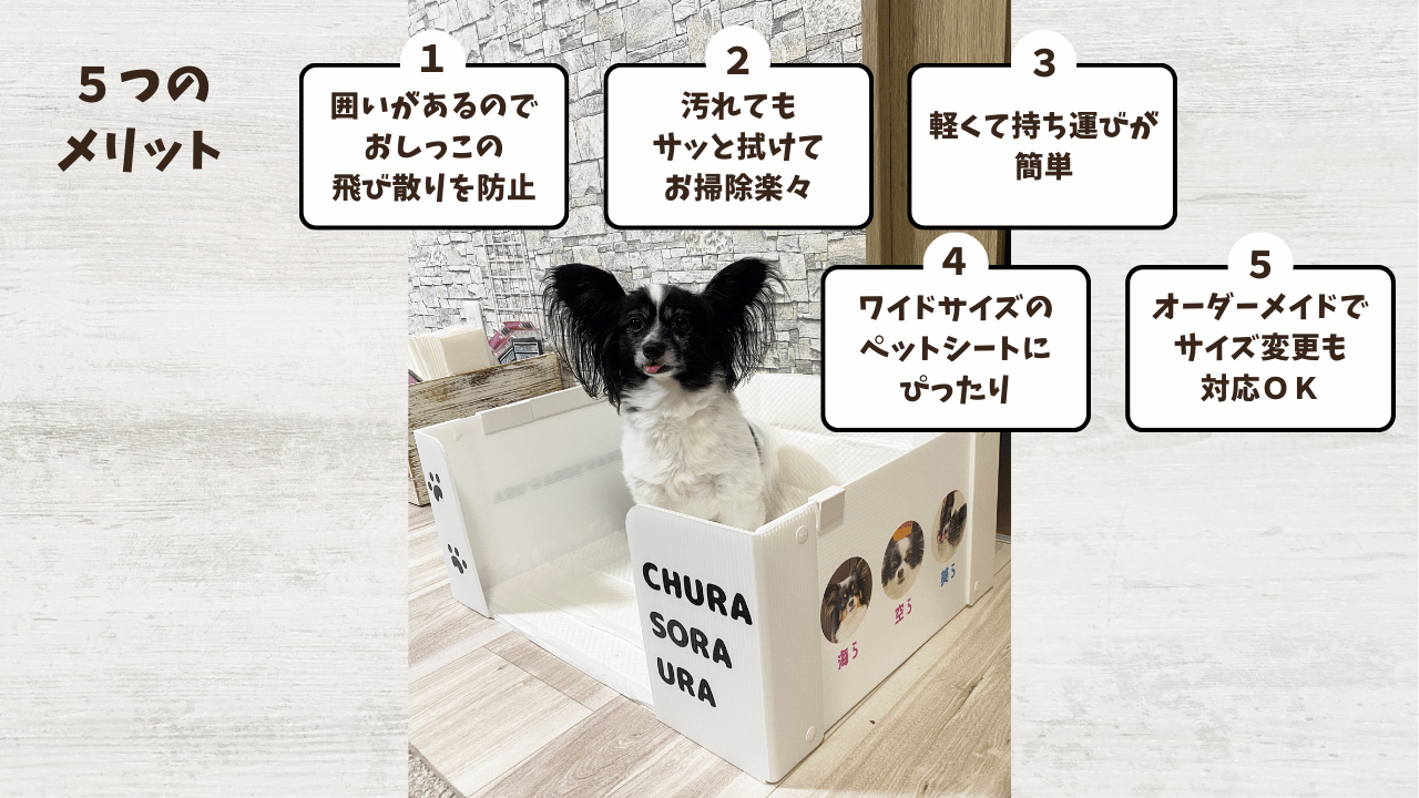 プラダン犬トイレ５つのメリット