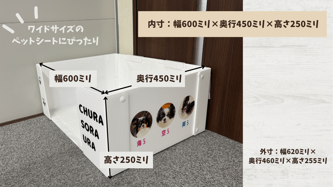 プラダン製の愛犬用トイレサイズ