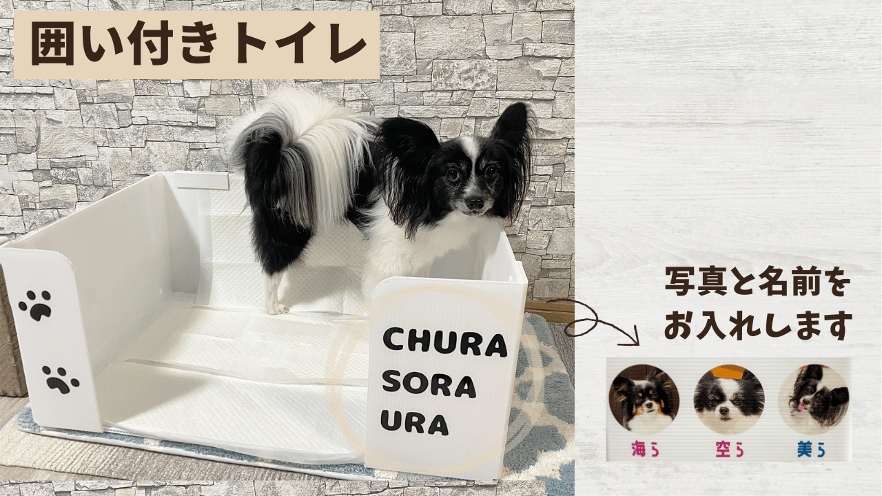 プラダン犬トイレ